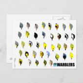 BirdFace Warbler Briefkaart (Voorkant / Achterkant)