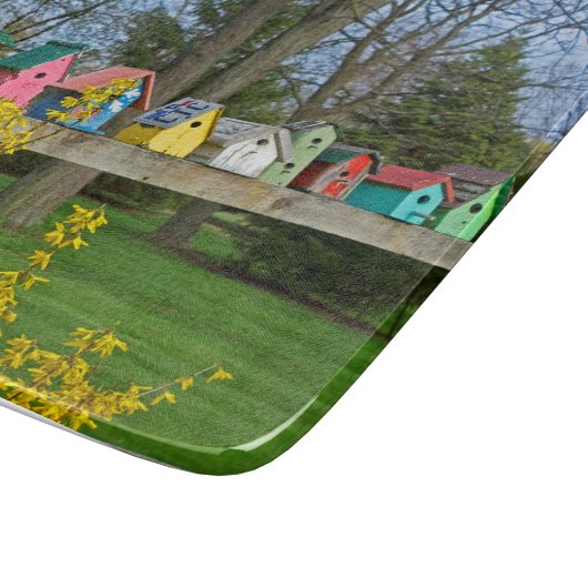 Birdhouse Boulevard Snijplank (Hoek)