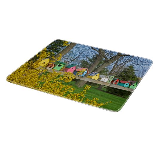 Birdhouse Boulevard Snijplank (Hoek)