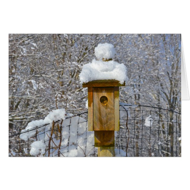 Birdhouse en hiver (Devant horizontal)