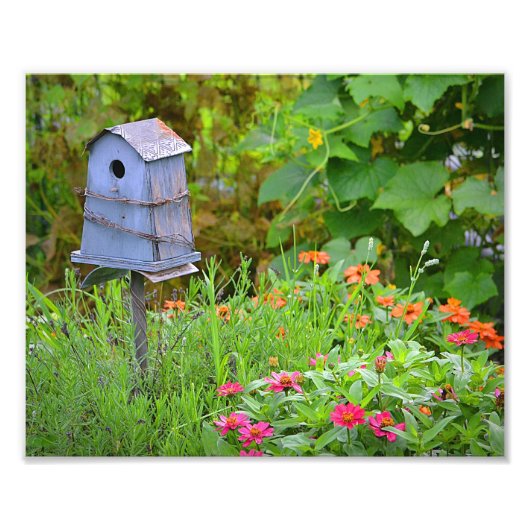Birdhouse Foto Print Afdruk (Voorkant)