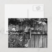 Birdhouse in de zomer briefkaart (Voorkant / Achterkant)