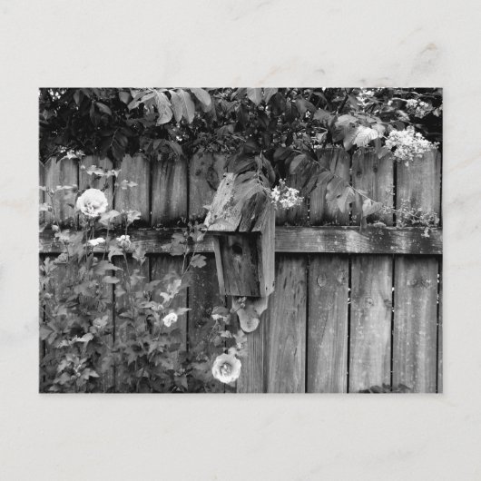 Birdhouse in de zomer briefkaart (Voorkant)