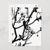 Birdie 4 briefkaart (Voorkant / Achterkant)