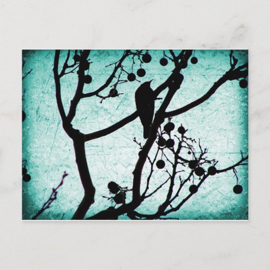 Birdie Briefkaart (Voorkant)