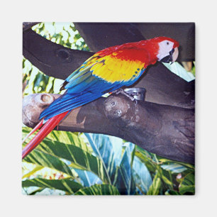 BIRDIE MAGNEET