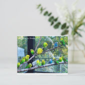 Birdies Briefkaart (Staand voorkant)