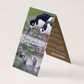 Birding Guide Hawk Visitekaartje (Achterkant)