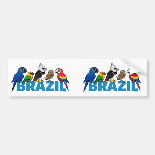 Birdorable Brazilië Bumpersticker (Voorkant)