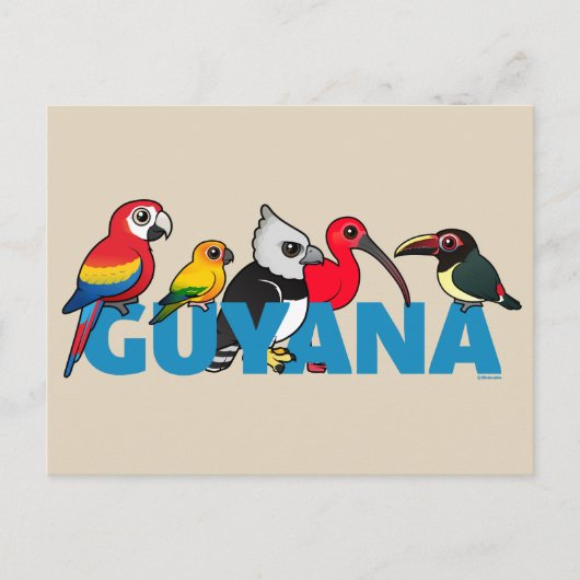 Birdorable Guyana Briefkaart (Voorkant)