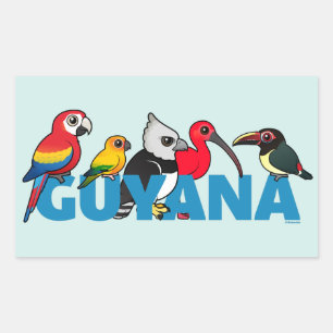 Birdorable Guyana Rechthoekige Sticker