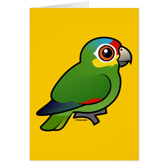 Birdorable Red-lored Parrot (Voorkant)