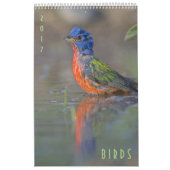 Birds 2017 Wildlife Wall Calendar Kalender (Hoes)