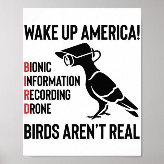 Birds Are Not Real - If It Flies, It Spies Poster (Voorkant)
