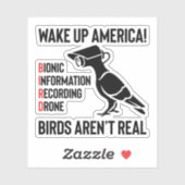 Birds Are Not Real - If It Flies, It Spies Sticker (Vel)
