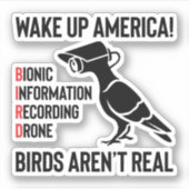 Birds Are Not Real - If It Flies, It Spies Sticker (Voorkant)