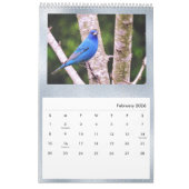 Birds Blue Photo  Kalender (Feb 2026)