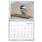 Birds Blue Photo  Kalender (Jan 2026)