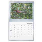 Birds Blue Photo  Kalender (Mar 2026)