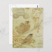 Birds Branch Birdcage Eggs Muziekblad Briefkaart (Voorkant / Achterkant)