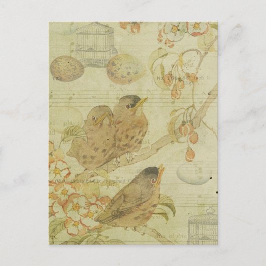 Birds Branch Birdcage Eggs Muziekblad Briefkaart (Voorkant)