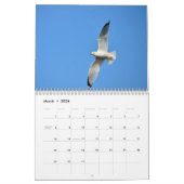 Birds dans le calendrier de vol (Mar 2026)