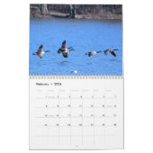 Birds dans le calendrier de vol (Feb 2026)