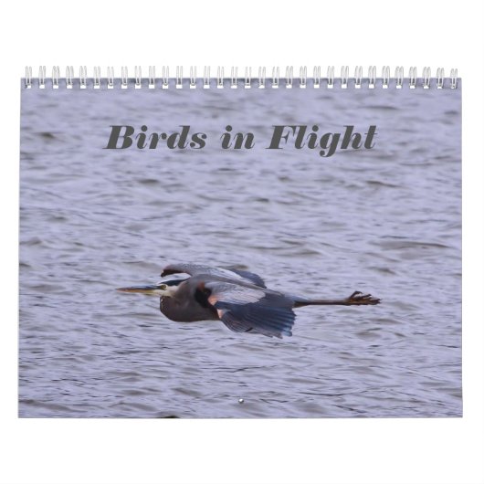 Birds dans le calendrier de vol (Protection)