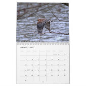 Birds dans le calendrier de vol (Jan 2027)