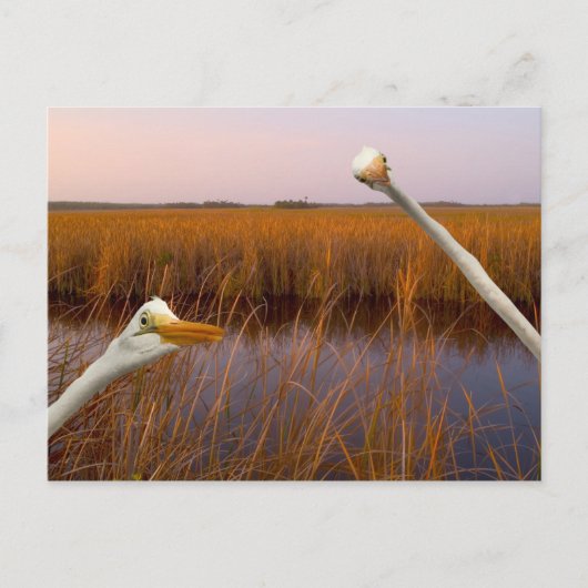 "Birds Eye Uitzicht" - briefkaart (Voorkant)