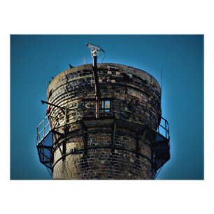 "Bird's Eye Uitzicht" Foto Afdruk