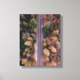 Bird's Eye uitzicht Foto van Road in the Middle Canvas Afdruk