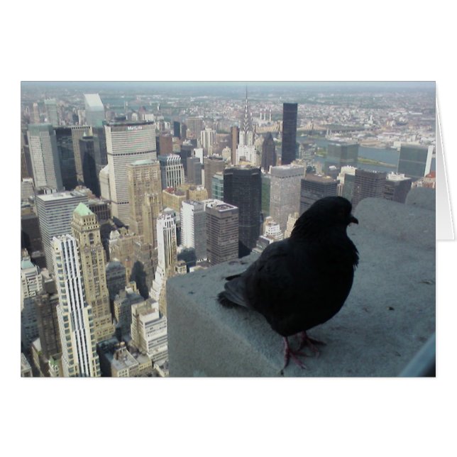 Bird's Eye Uitzicht of New York Card (Voorkant Horizontaal)