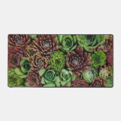 Bird's Eye Uitzicht van Sempervivum Planten Bureaumat (Voorkant)