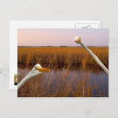 "Birds Eye View" - carte postale (Devant / Derrière)