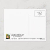 "Birds Eye View" - carte postale (Dos)