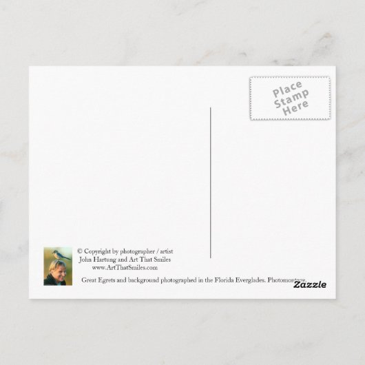 "Birds Eye View" - carte postale (Dos)