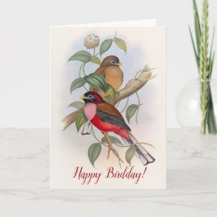 Birds Funny Birthday (Birdday) Pun Kaart