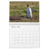 Birds kalender 2021 van Chris Milligan (Feb 2026)