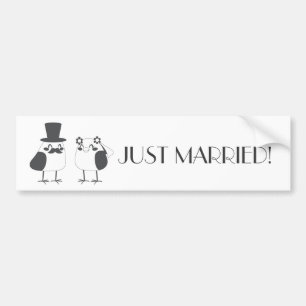 Birds Love Wedding Cake Bumpersticker