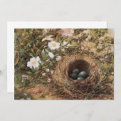 Bird's Nest and Dog Rozen van John William Hill (Voorkant / Achterkant)