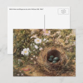 Bird's Nest and Dog Rozen van John William Hill Briefkaart (Voorkant / Achterkant)