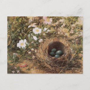Bird's Nest and Dog Rozen van John William Hill Briefkaart