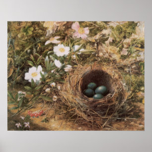 Bird's Nest and Dog Rozen van John William Hill Poster