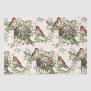 Birds Nest Leaves Redpoll Songbird Ivory Tissuepapier