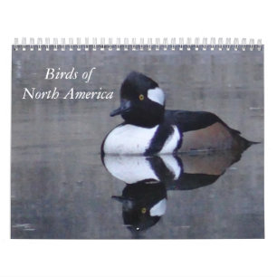 Birds Noord-Amerikaanse kalender