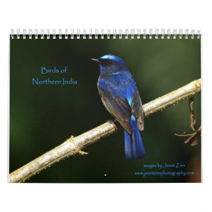 Birds Noord-India kalender