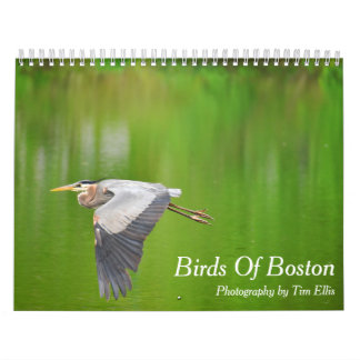 "Birds of Boston" kalender 2021