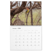 Birds of East Africa Calendrier 2026 (Jan 2026)