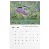 Birds of Hawaii - Kalender 2023 (Mar 2026)